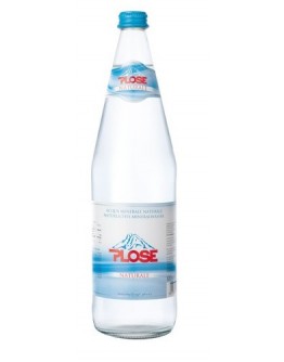 ACQUA MINERALE NAT PLOSE 1LT