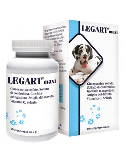 LEGART MAXI 60CPR