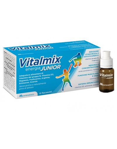 VITALMIX JUNIOR 12FL