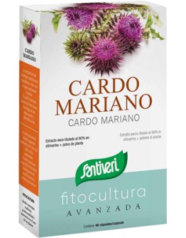 CARDO MARIANO 40CPS