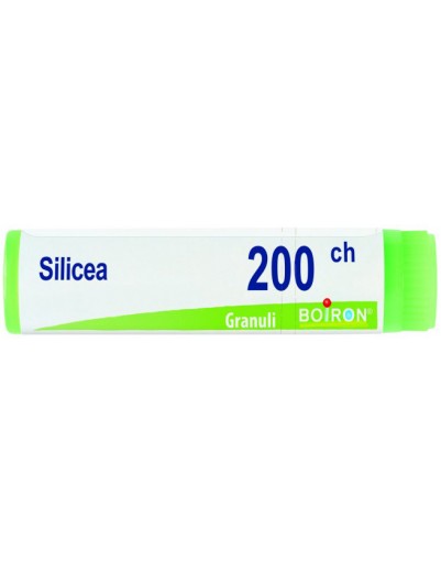 SILICEA 200CH GL