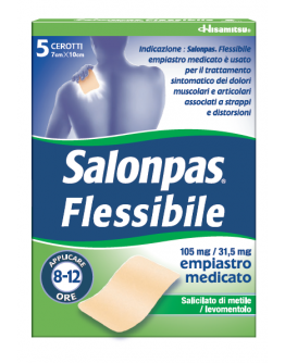 SALONPAS FLESSIBILE*5CER7x10CM